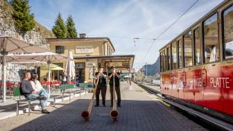 Schynige Platte Schynige Platte